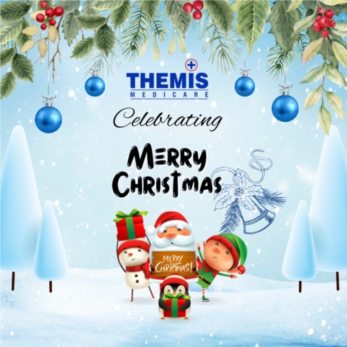 Christmas Celebration